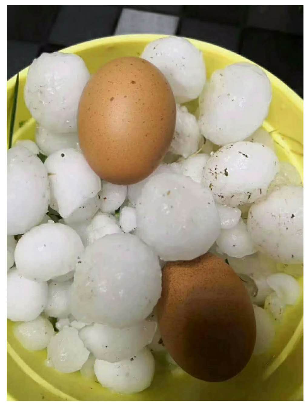 甘肅(su)發生冰雹災(zai)害 甘肅發生冰(bing)雹災害