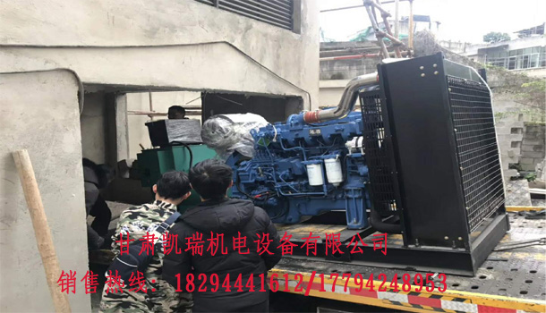 甘肅(sù)發電機(jī)組價格(gé)