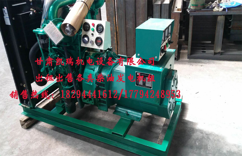 甘肅(sù)玉柴柴(chai)油發電(dian)機組廠(chǎng)家