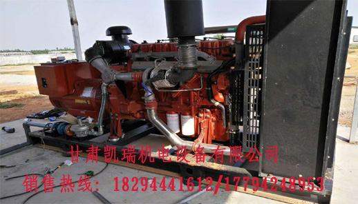 蘭(lán)州柴油發電(dian)機組廠家 蘭(lán)州柴油發電(dian)機組廠家