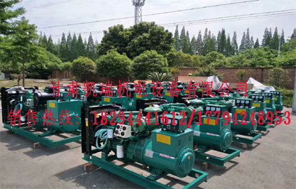 蘭州(zhou)柴油發電機(ji)組價格 蘭州(zhou)柴油發電機(ji)組價格