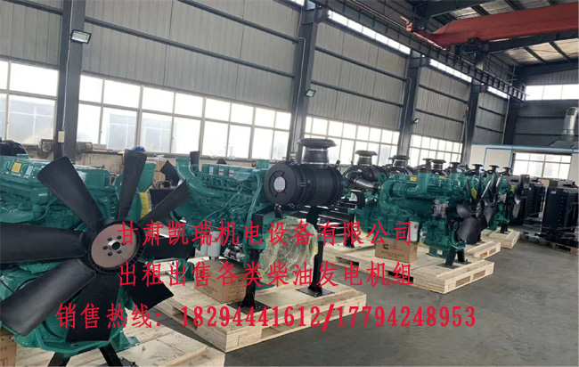 蘭州發(fā)電機組廠家 蘭州發電機(ji)組廠家